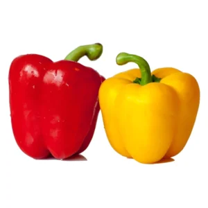 Capsicum